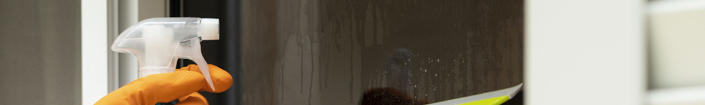 Fotografía sobre la limpieza